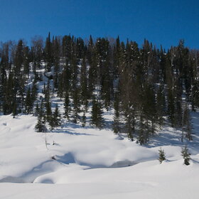 ���������� �� �����������