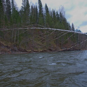 �������