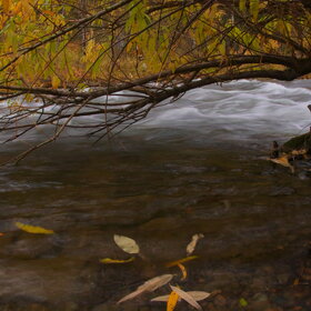 ���������� �� �����������