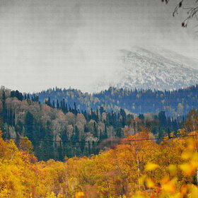 ���������� �� �����������