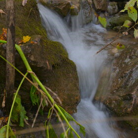 ���������� �� �����������