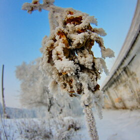 �������