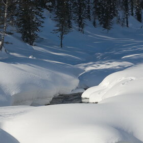 ���������� �� �����������