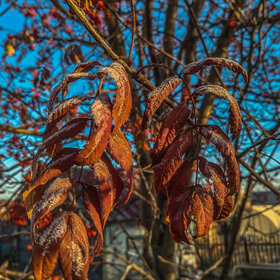 �������