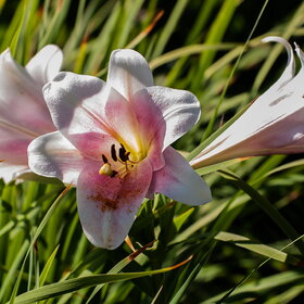 �������