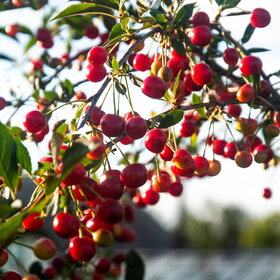 �������