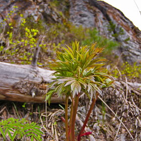 �������