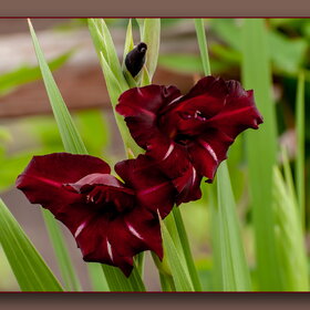 �������