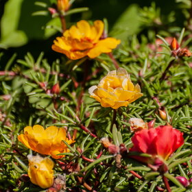 �������