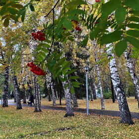 �������