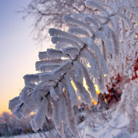 �������