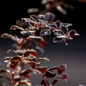 �������