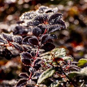 �������