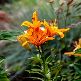 �������