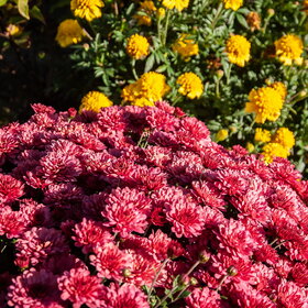 �������