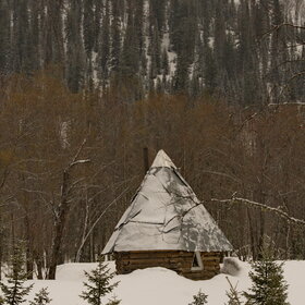 �����������