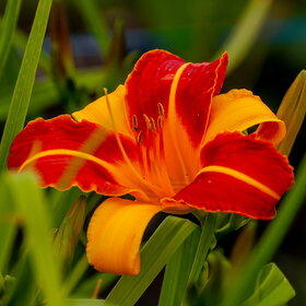 �������