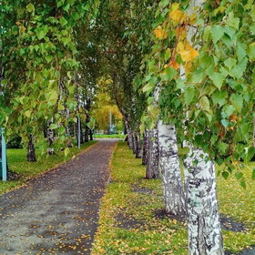 �������