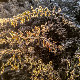 �������