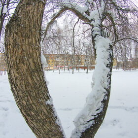 �������