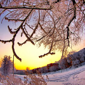 �������