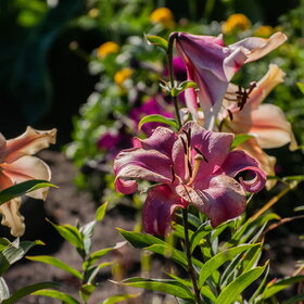 �������