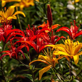 �������