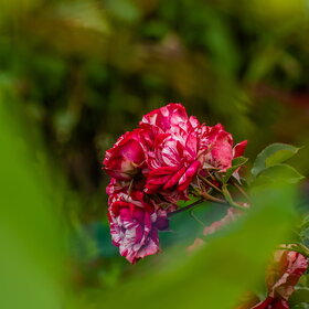 �������