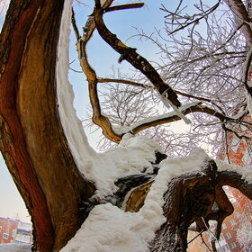 �������