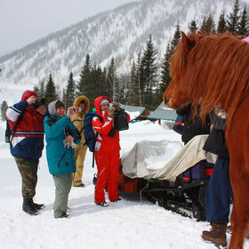 ���������� �� �����������