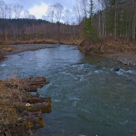 �������