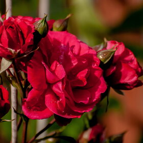 �������