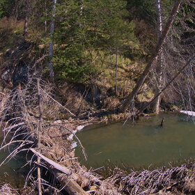 �������