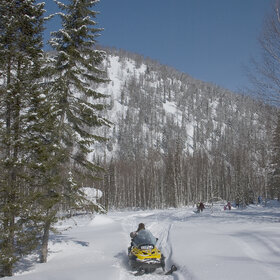 ���������� �� �����������