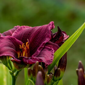 �������