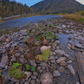 ���������� �� �����������