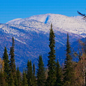 ���������� �� �����������