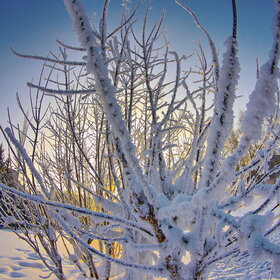 �������