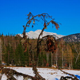 ���������� �� �����������