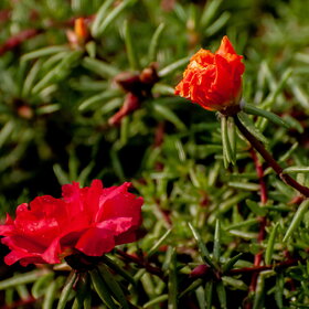 �������