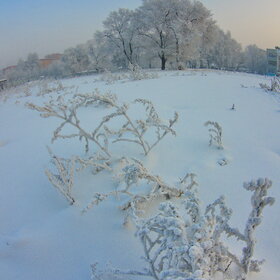 �������