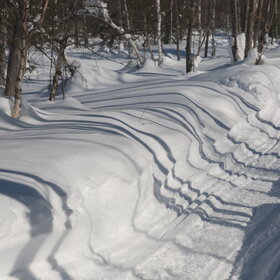 ���������� �� �����������