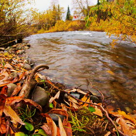 ���������� �� �����������