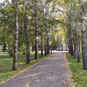 �������