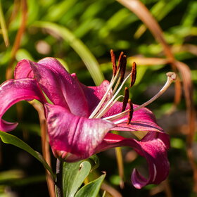 �������