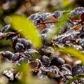 �������