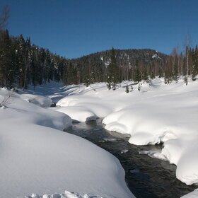 ���������� �� �����������