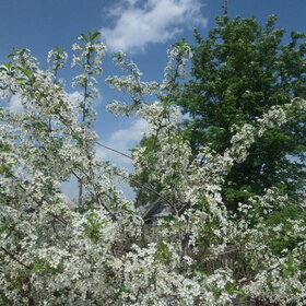 �������