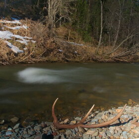 �������