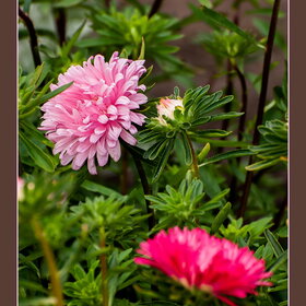 �������